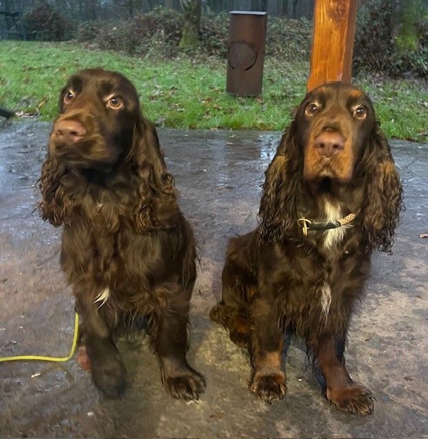 De La Légende De Carpo - Vigo rencontre son père